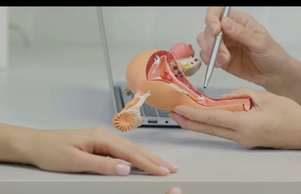 e95b892a2085cb25525406d8c76b8586.webp e95b892a2085cb25525406d8c76b8586.webp